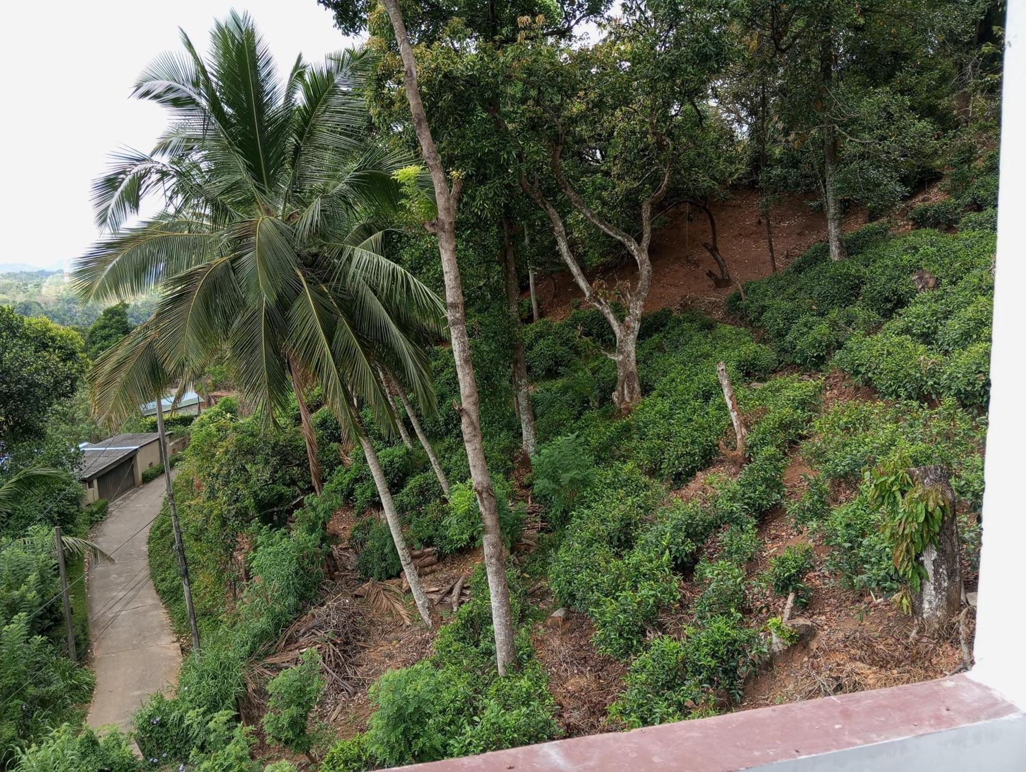 Mountain Bliss Villa Peradeniya Quarto foto
